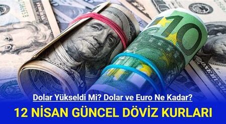 Döviz Kurlarında Volatilite Nedenleri