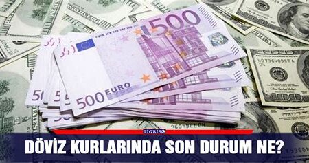 Döviz Rezervlerindeki Son Durum