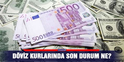 Döviz Rezervlerindeki Son Durum
