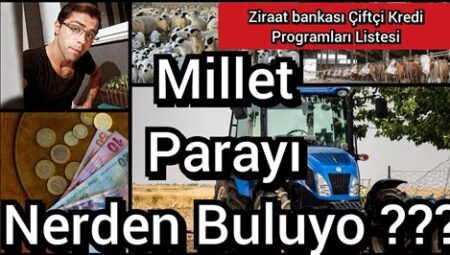 Düşük Faizli Kredi Programları