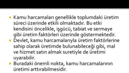 Kamu Harcamalarının Etkili Yönetimi