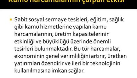 Kamu Harcamalarının Şeffaflığı Tartışması