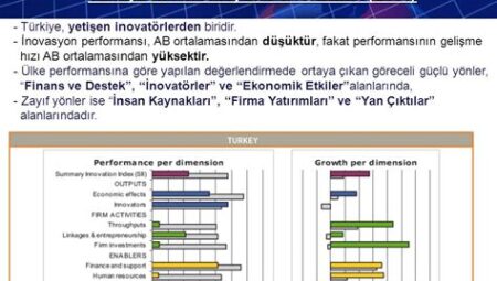 Türkiye'nin İnovasyon Performansı
