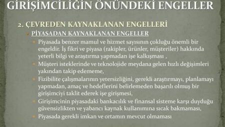 Yabancı Yatırımların Önündeki Engeller